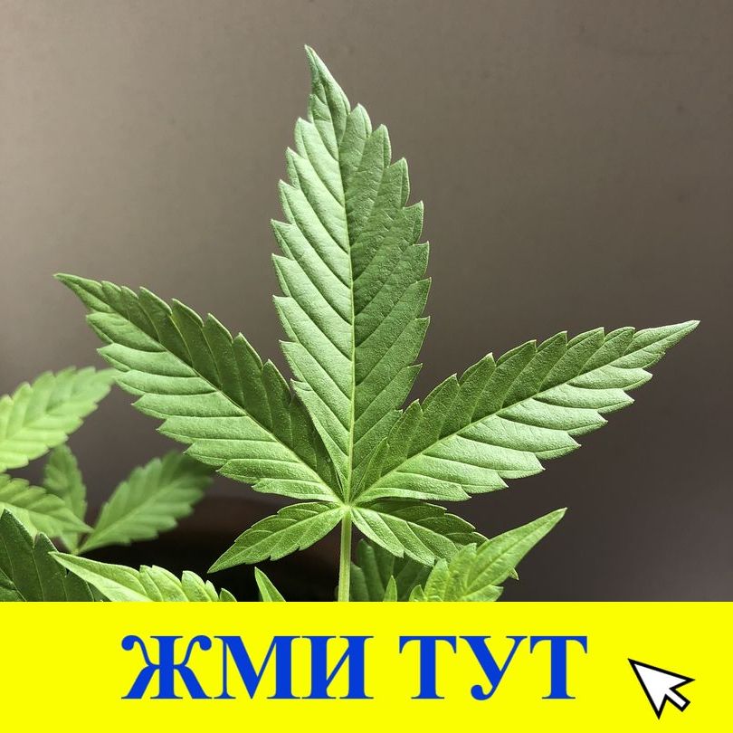 Купить наркотики в Томске